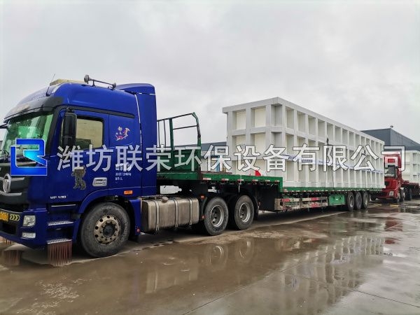 發(fā)貨現(xiàn)場 (31)